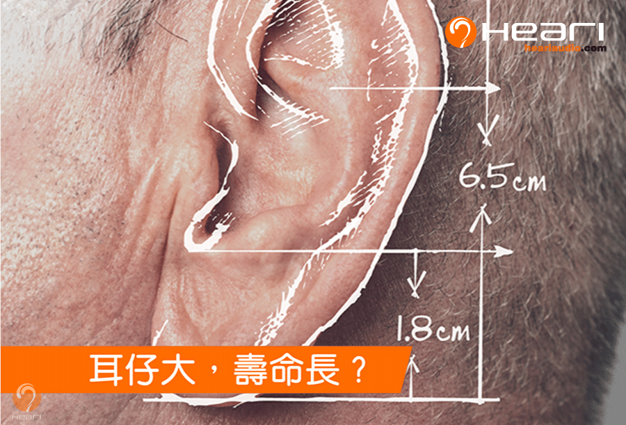 耳朵和壽命的關係 | Heari助聽器